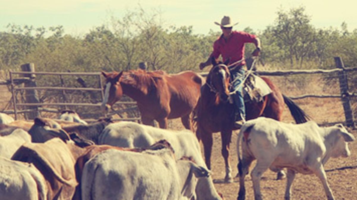 Ranch Jobs Abroad 