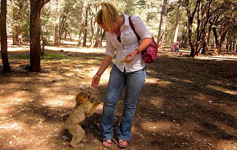 10 Types of Animal Volunteer Opportunities Abroad